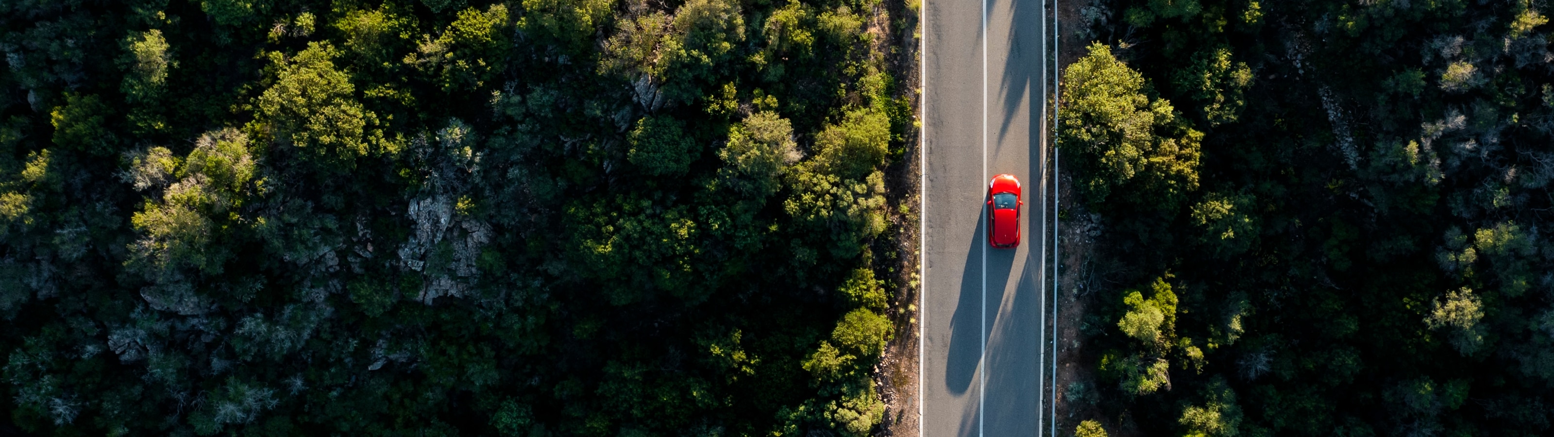 BBVA unterstützt roadsurfer mit 25 Millionen Euro Risikokapital